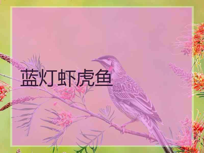 蓝灯虾虎鱼