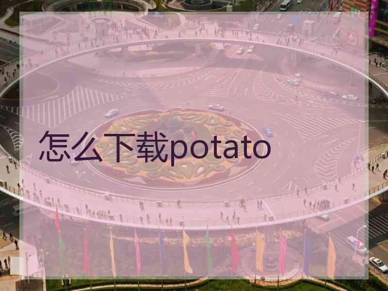 怎么下载potato