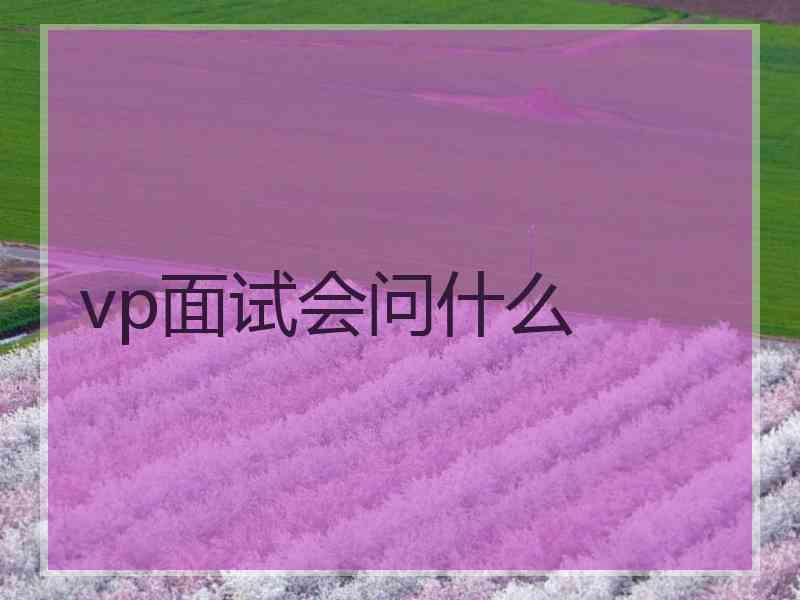 vp面试会问什么