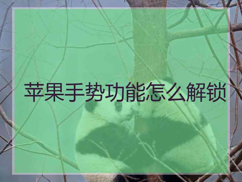 苹果手势功能怎么解锁