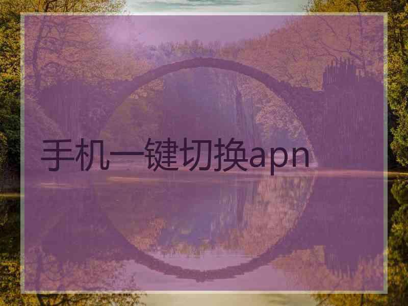 手机一键切换apn