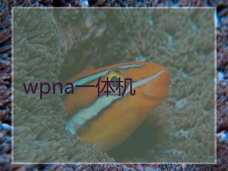 wpna一体机