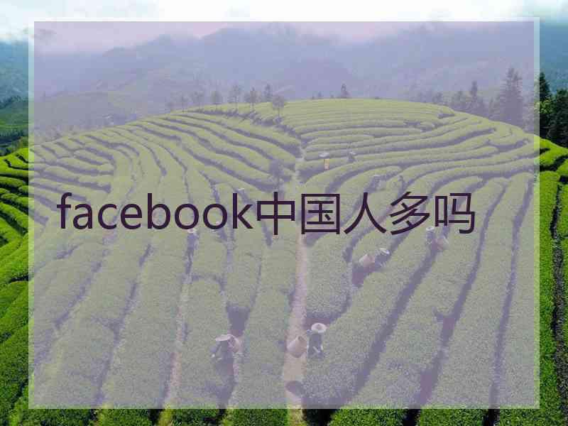 facebook中国人多吗