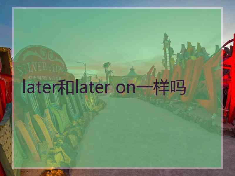 later和later on一样吗