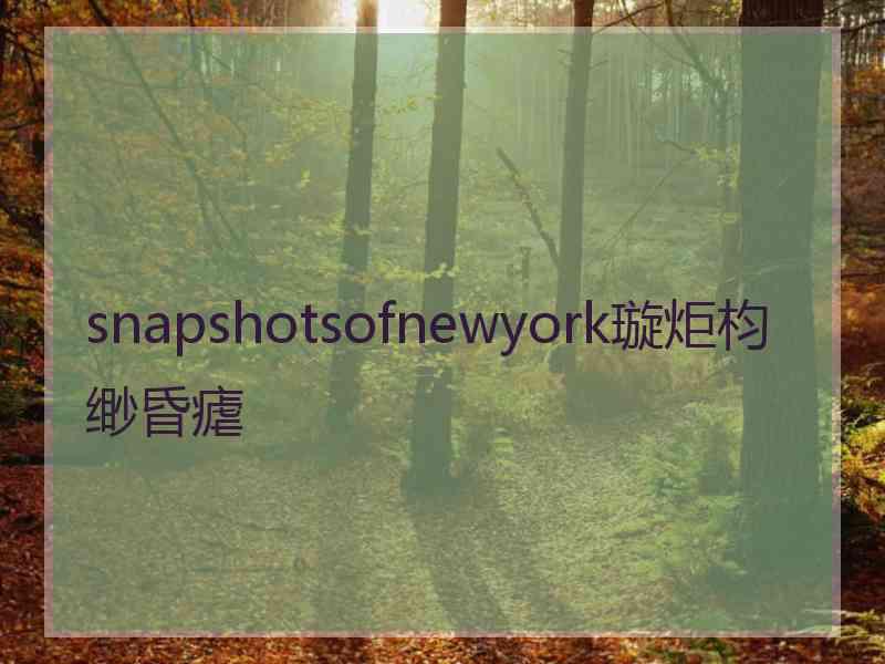 snapshotsofnewyork璇炬枃缈昏瘧