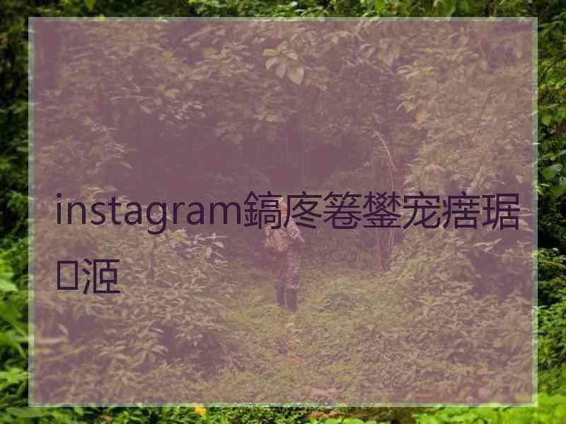 instagram鎬庝箞鐢宠瘔琚洍