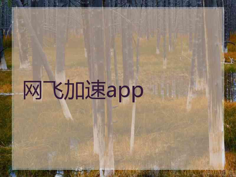 网飞加速app