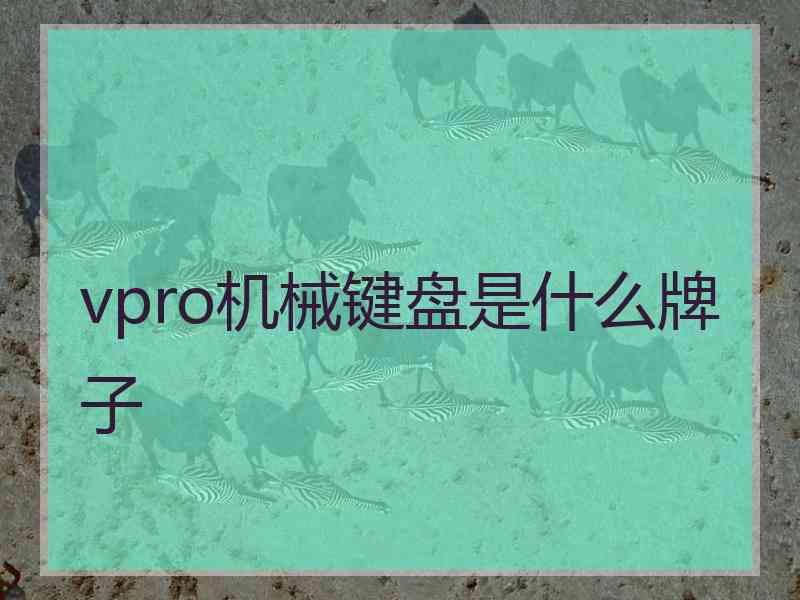 vpro机械键盘是什么牌子