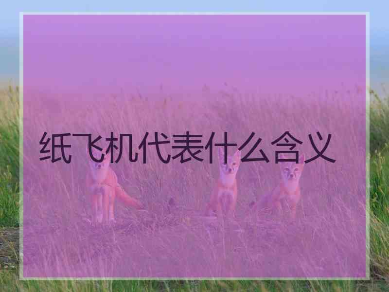 纸飞机代表什么含义