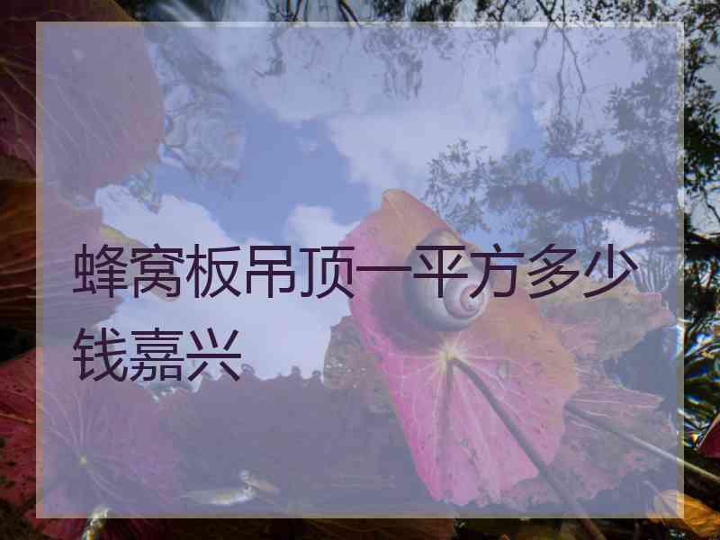 蜂窝板吊顶一平方多少钱嘉兴