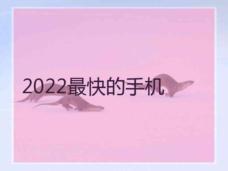 2022最快的手机