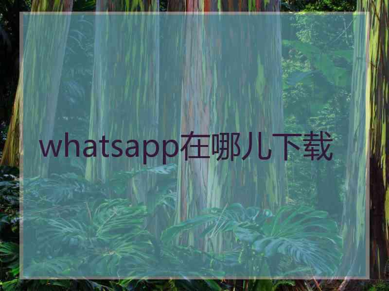 whatsapp在哪儿下载