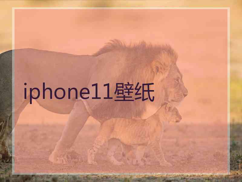 iphone11壁纸