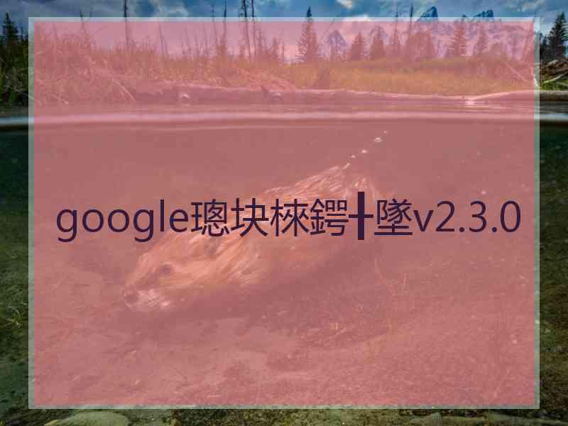 google璁块棶鍔╂墜v2.3.0