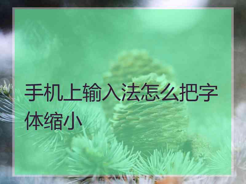 手机上输入法怎么把字体缩小