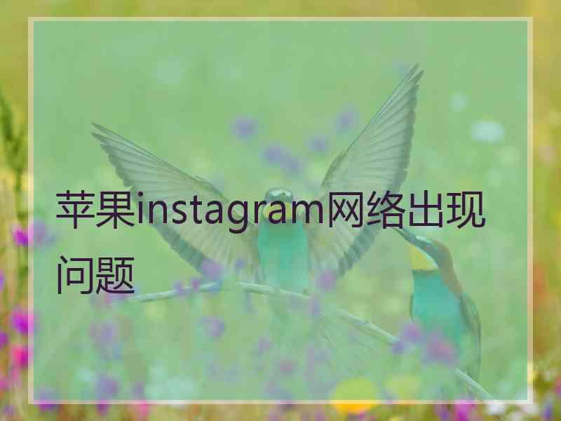 苹果instagram网络出现问题