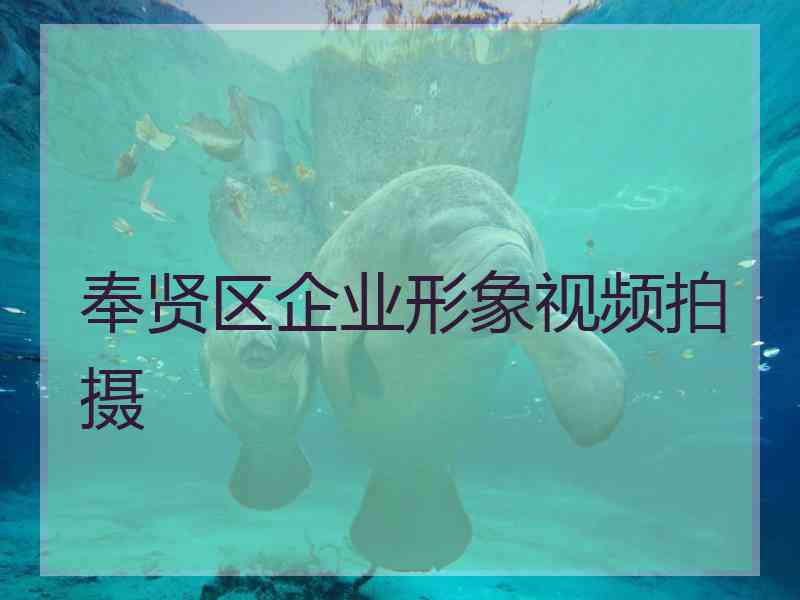 奉贤区企业形象视频拍摄