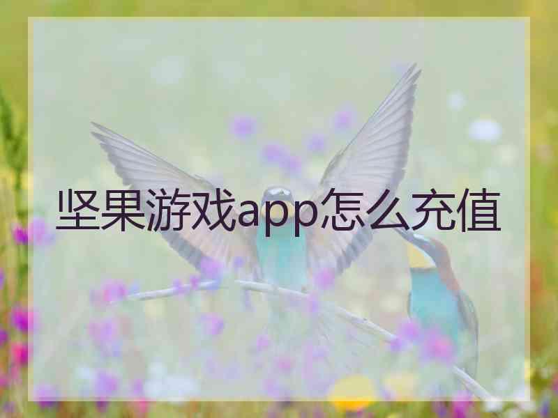 坚果游戏app怎么充值