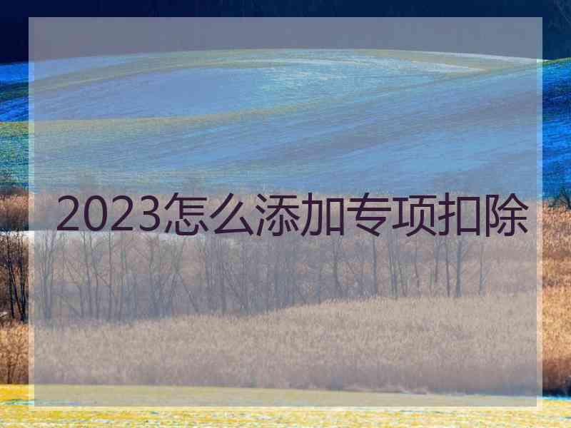 2023怎么添加专项扣除