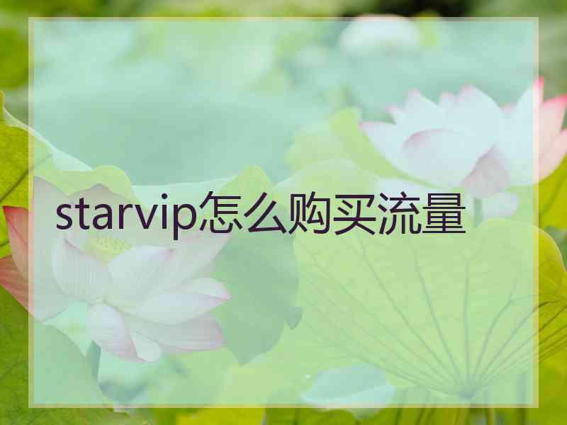 starvip怎么购买流量