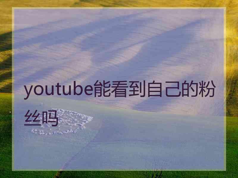 youtube能看到自己的粉丝吗