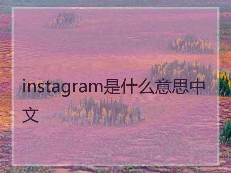 instagram是什么意思中文