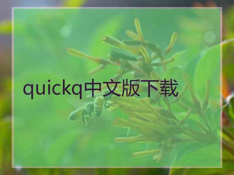 quickq中文版下载