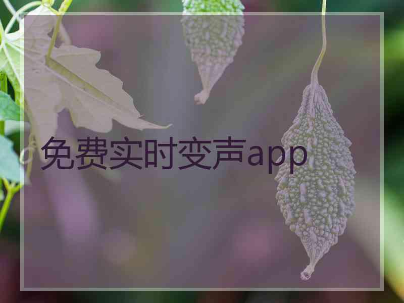 免费实时变声app