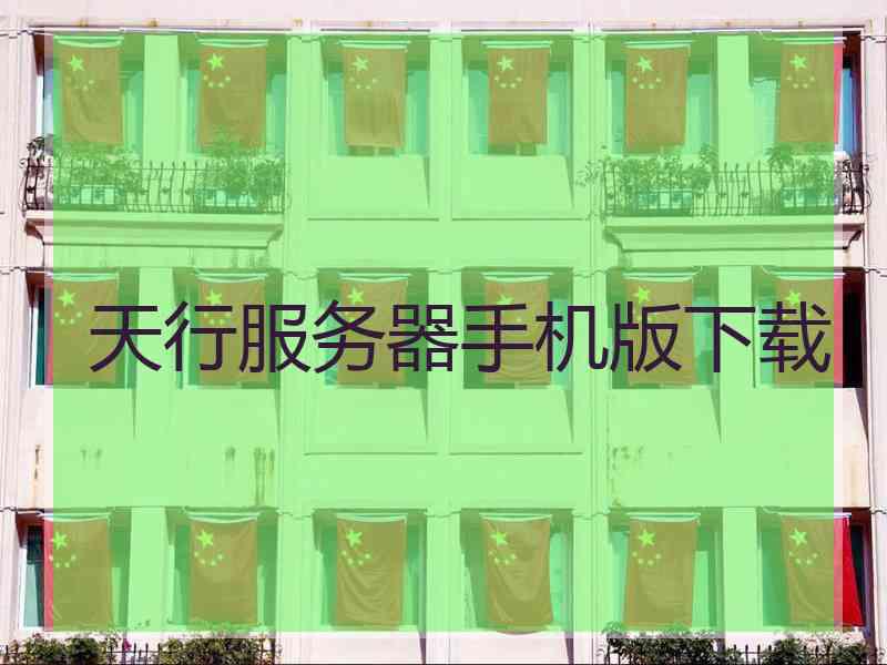 天行服务器手机版下载