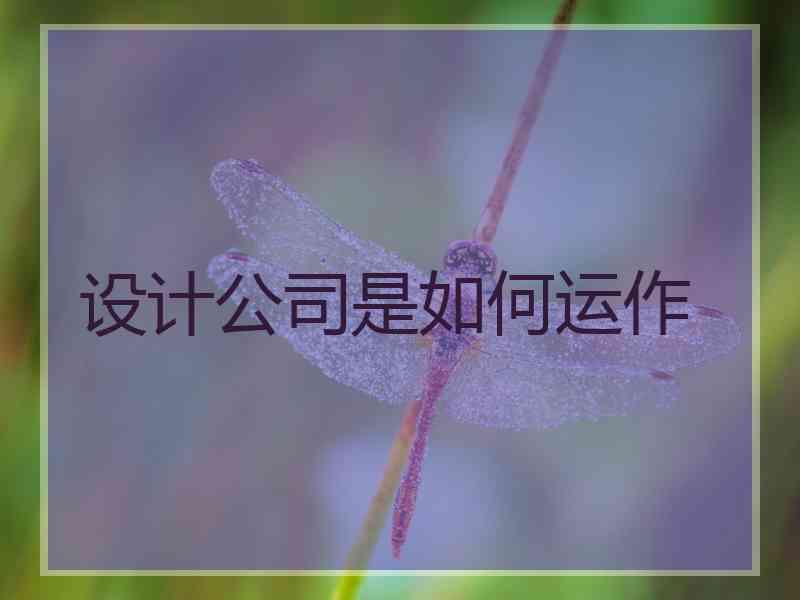 设计公司是如何运作