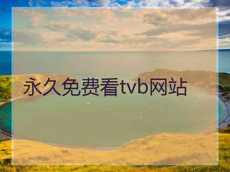 永久免费看tvb网站