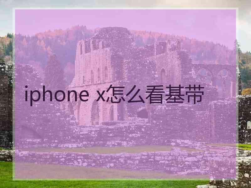 iphone x怎么看基带