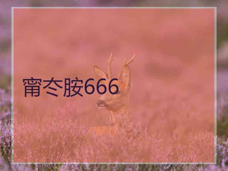 甯冭胺666