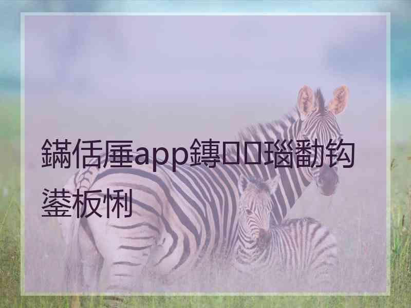 鏋佸厜app鏄瑙勫钩鍙板悧