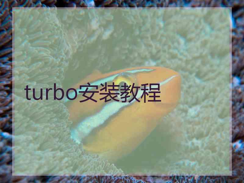 turbo安装教程