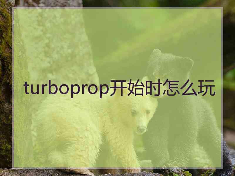 turboprop开始时怎么玩