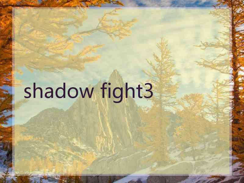 shadow fight3