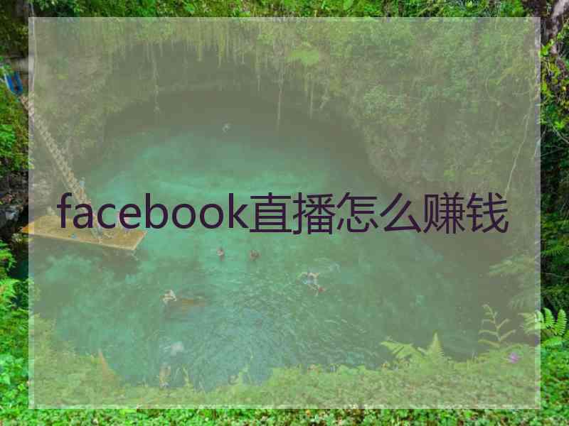 facebook直播怎么赚钱