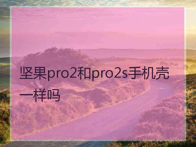 坚果pro2和pro2s手机壳一样吗