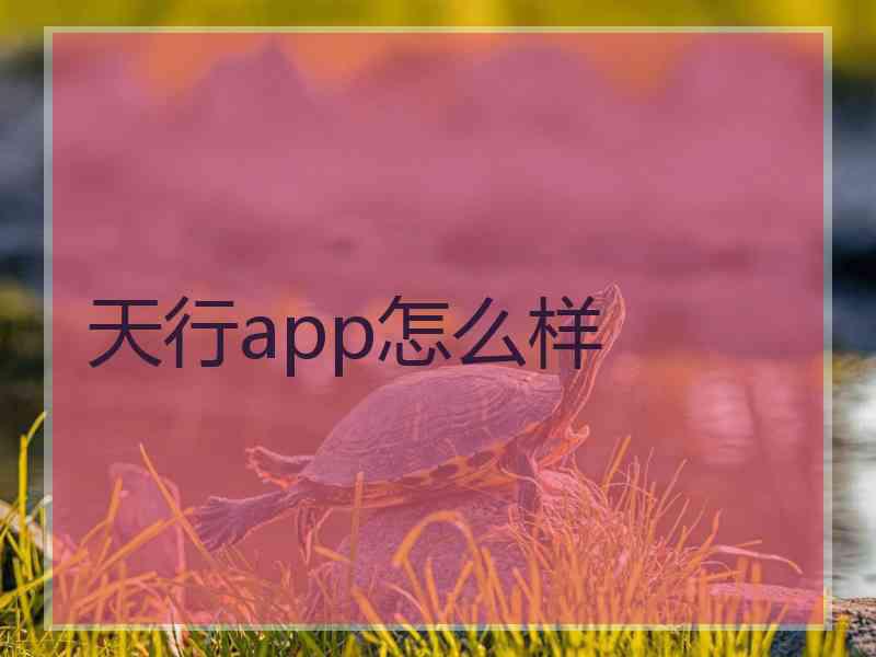 天行app怎么样