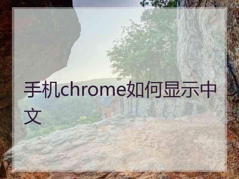 手机chrome如何显示中文