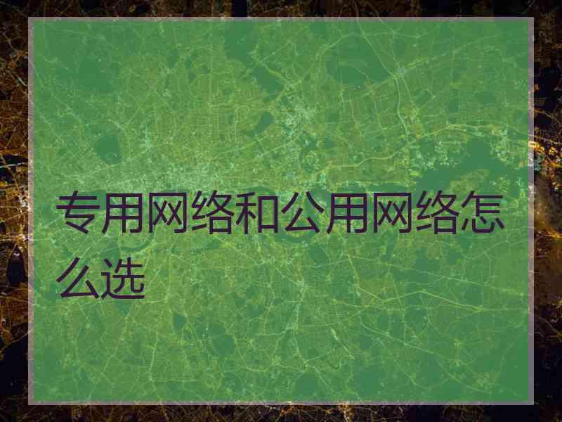 专用网络和公用网络怎么选