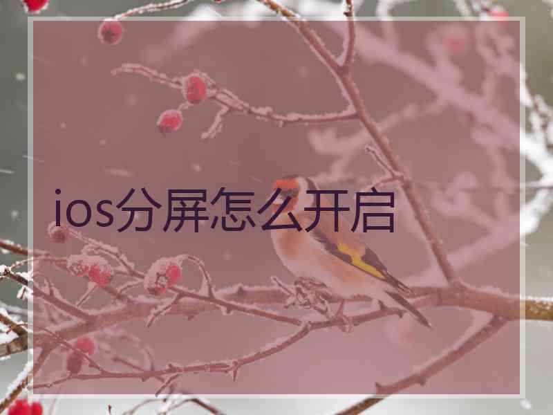 ios分屏怎么开启