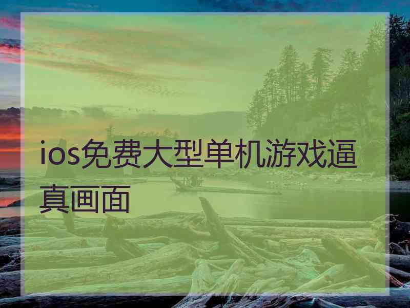 ios免费大型单机游戏逼真画面