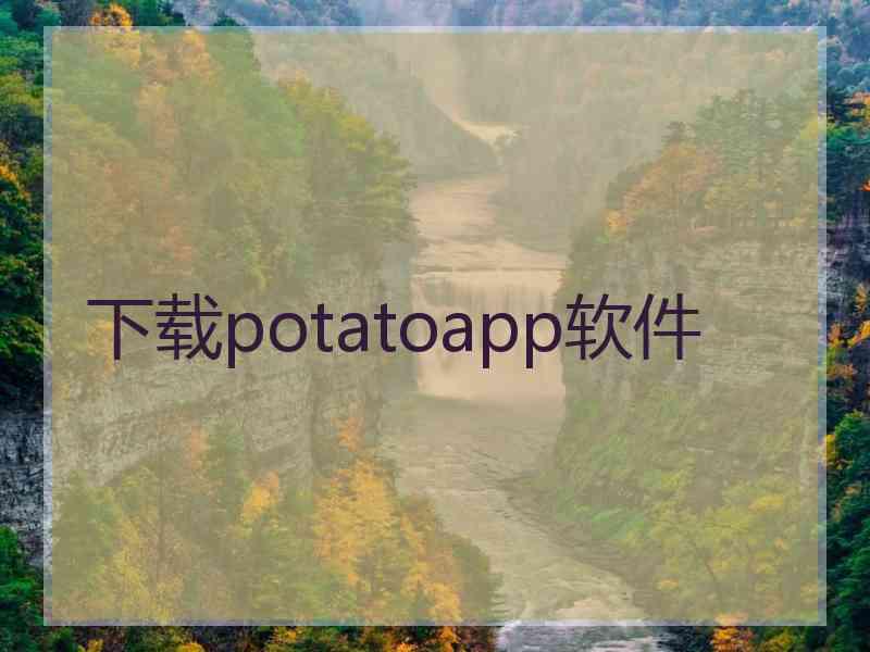 下载potatoapp软件