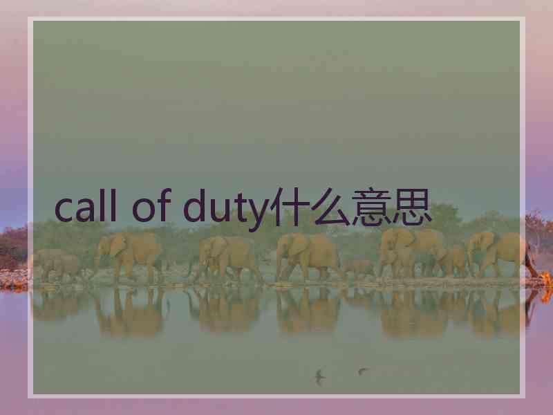 call of duty什么意思