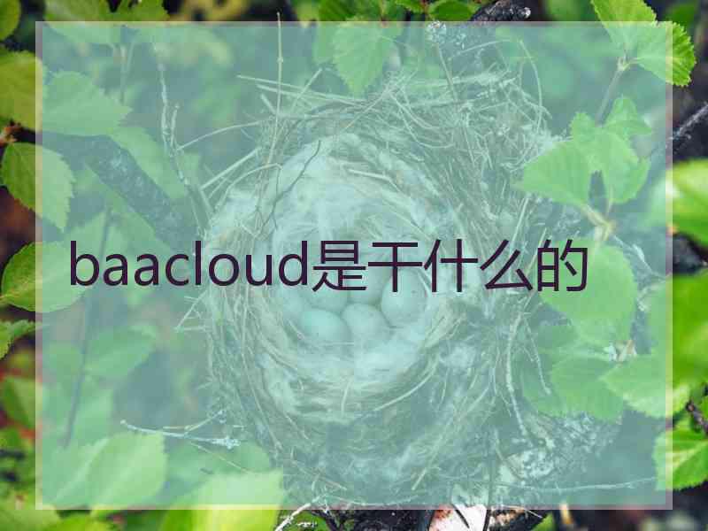 baacloud是干什么的