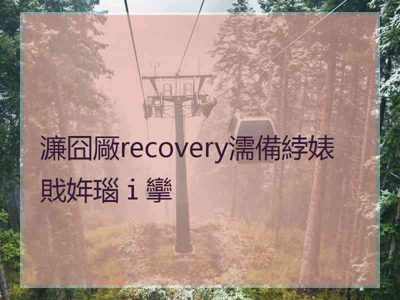 濂囧厰recovery濡備綍婊戝姩瑙ｉ攣