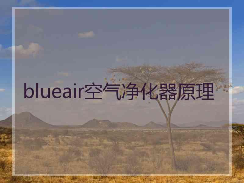 blueair空气净化器原理