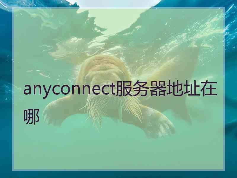 anyconnect服务器地址在哪